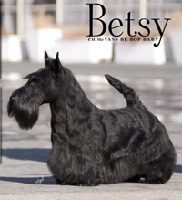 McVan's-Be-Bop-Baby McVan's-Be-Bop-Baby