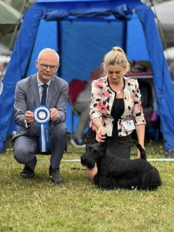 Nefertari E-E BIG Gelsenkirchen