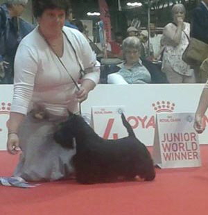 Peabar-JWW-2015 Peabar-JWW-2015