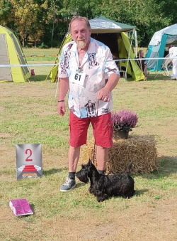 QS Patty BIS-P-2 Stove