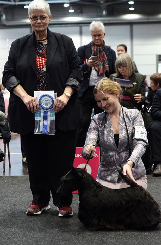 Quaint Quincent WW Quaint Quincent WW