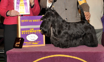 RN18902901 RN18902901