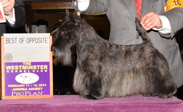 Rock Castle MCKC2013 Rock Castle MCKC2013