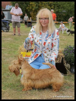 Ryanara BIS3-Puppy Stove