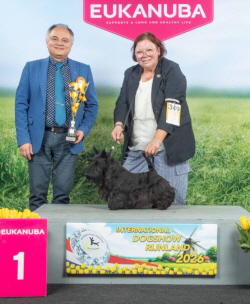 SD Flirt Fantasy BISJ Bleisweijk