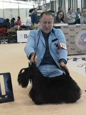 SD Xanadutch VWS 2021 SD Xanadutch VWS 2021