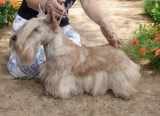 SP Magic Momemts IntCh