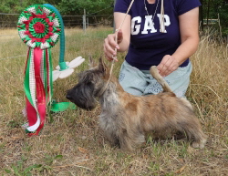 SP Surprise BIS-Baby