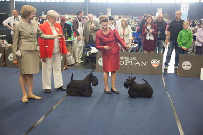 Sieger-WDS2012 Sieger-WDS2012