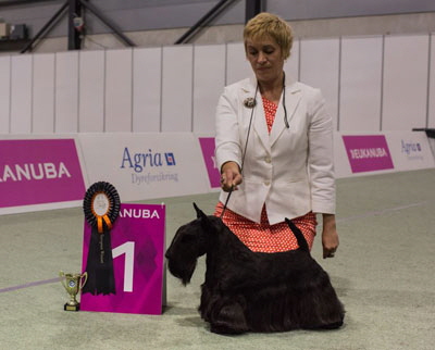 Skailain-I-My-Me-EDS-Oslo Skailain-I-My-Me-EDS-Oslo