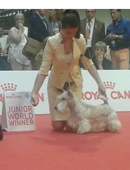 Snailand-JWW-2015 Snailand-JWW-2015