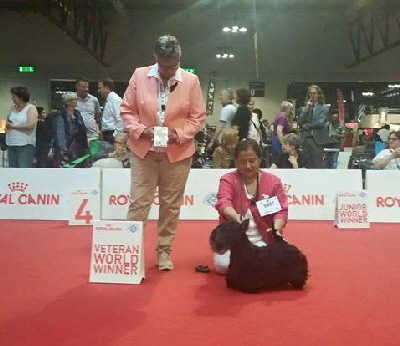 Verascot-Ask-VWW2015 Verascot-Ask-VWW2015