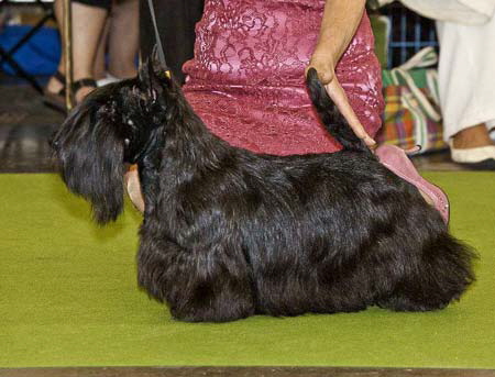 Weltsieger-2011 Weltsieger-2011