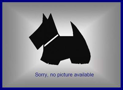 no picture no picture