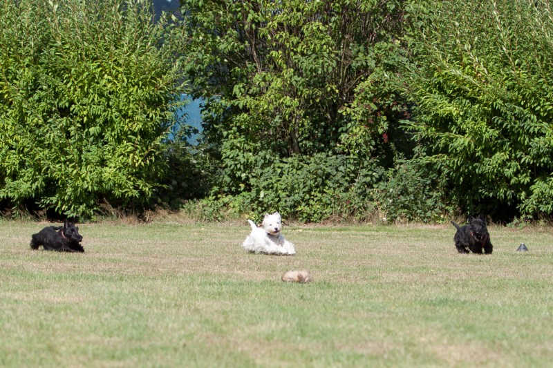 Clieves-05-09-T1-125