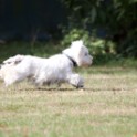 Clieves-05-09-T1-121