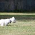 Clieves-05-09-T1-122