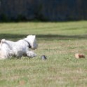 Clieves-05-09-T1-123