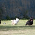 Clieves-05-09-T1-124