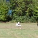 Clieves-05-09-T1-125