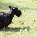 Clieves-05-09-T1-134
