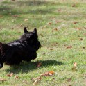 Clieves-05-09-T1-135