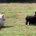Clieves-05-09-T1-136