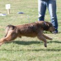 Clieves-05-09-T2-70
