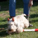 Clieves-05-09-T2-78